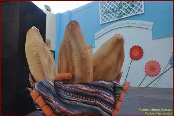 El Ejido inició esta noche sus fiestas patronales en honor de San Pedro y la Virgen del Carmen con el pregón y  varios reconocimientos (Foto TA y TF)